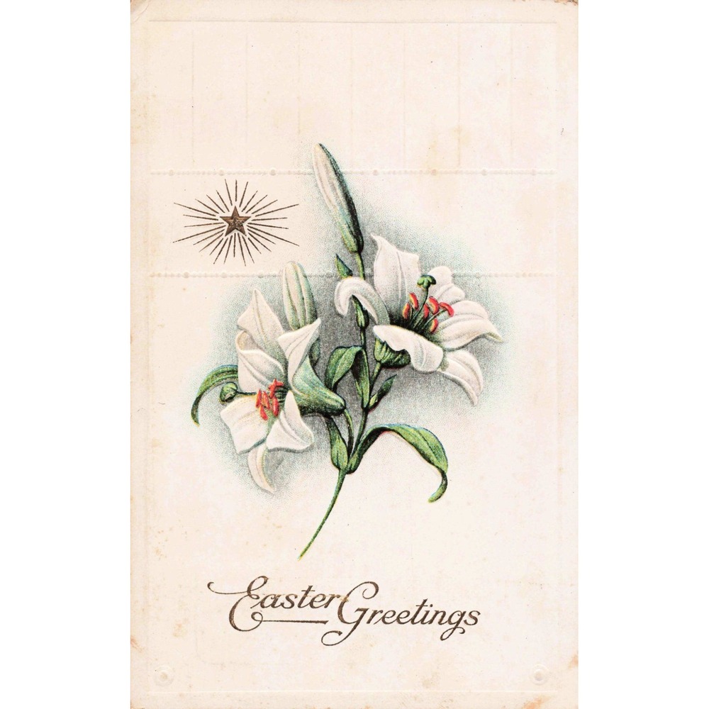 Vintage 1919 Easter Greetings Postcard Embossed White Lilies Altamont IL Stamp - Picture 1 of 2